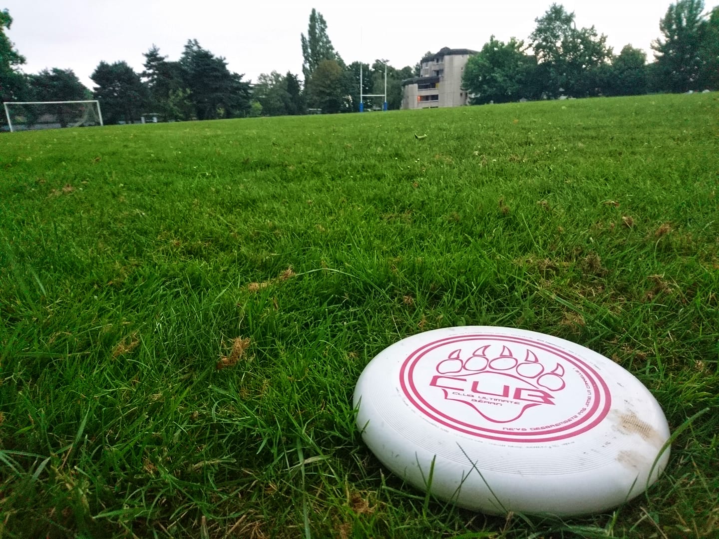 Règle de l'Ultimate Frisbee - Règles du jeu du frisbee